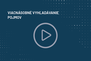 viacnasovne_vyhlad_pojmov